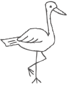 鳥